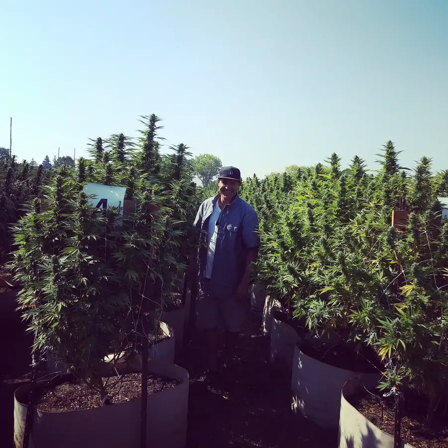 Cannabis cultivation compliance documentation and site assessment at licensed operation in Northern California