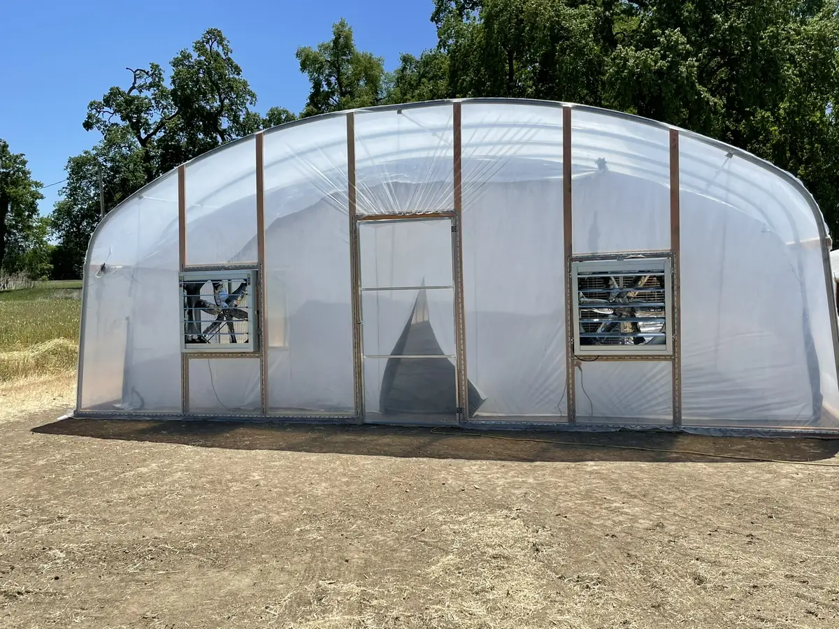 Licensed cannabis outdoor cultivation site with security fencing and compliance infrastructure in Northern California